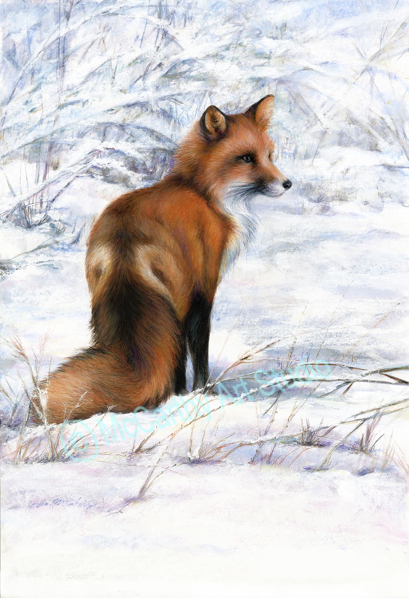 Winter Fox